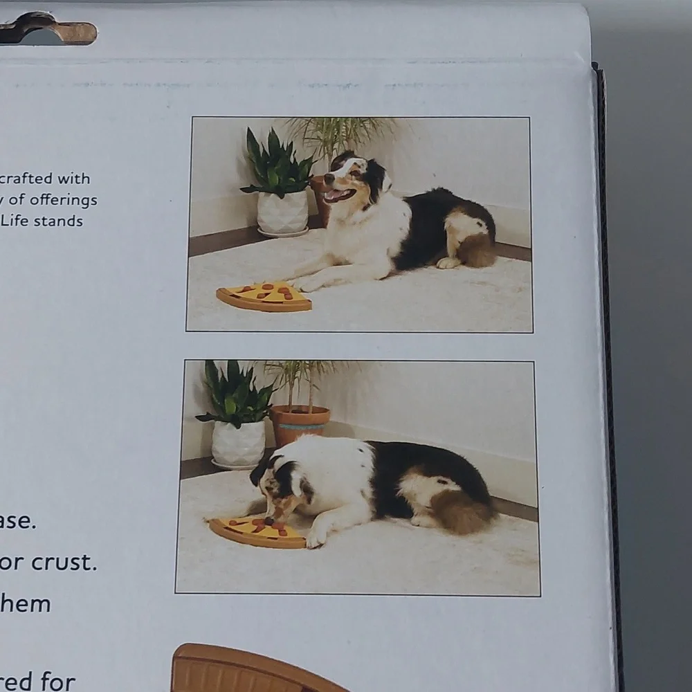 Vibrant Life puzzles & treat‎ Buddy Dog toys medium